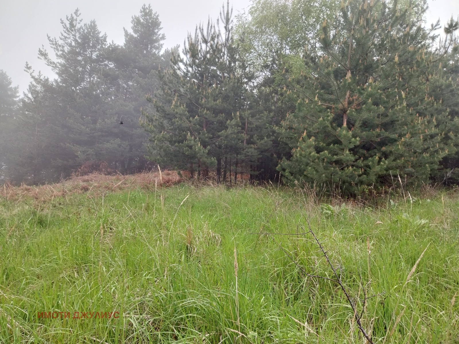 ������� ������ | Imot.bg � ����������� 5