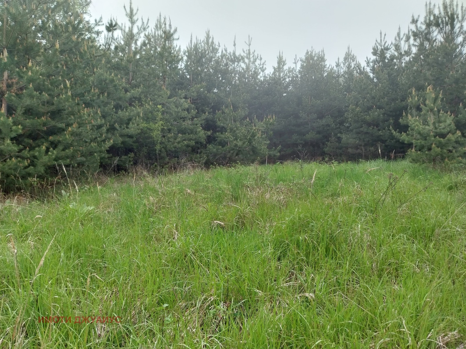 ������� ������ | Imot.bg � ����������� 4