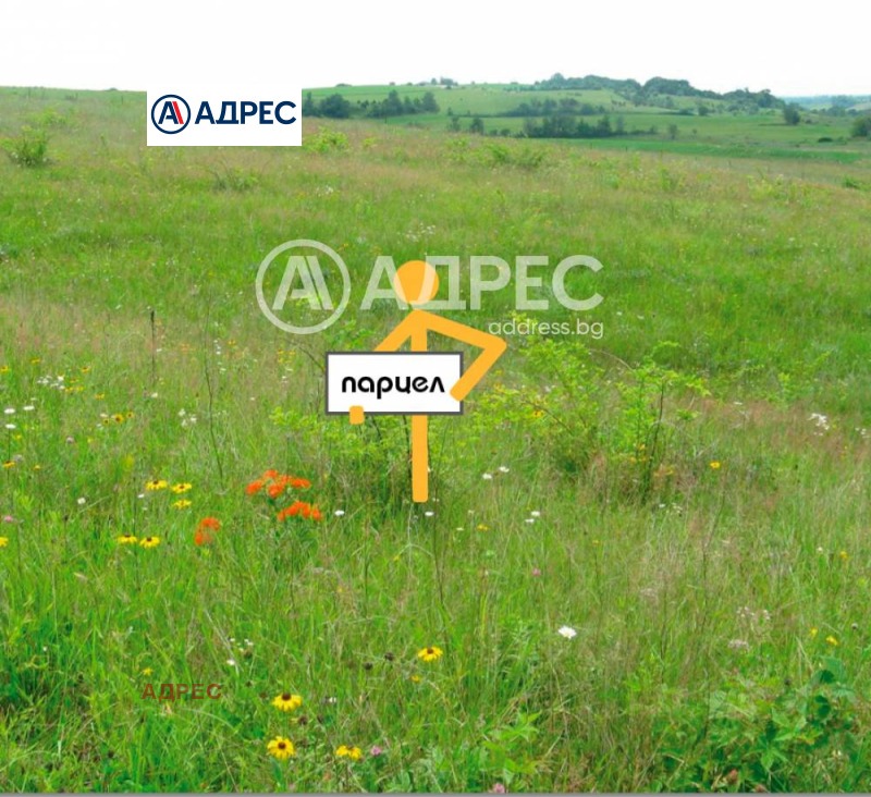 Продава  Парцел област Варна , гр. Бяла , 12989 кв.м | 83753246