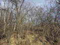 Продава ПАРЦЕЛ, област Велико Търново, с. Велчево • 26000 € • 86374133 — Holmes.bg