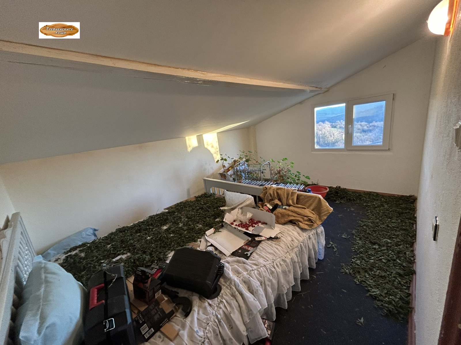 ������� ���� | Imot.bg � ����������� 13