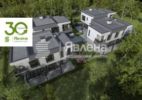 ����� ������� ������,���� �����, ������