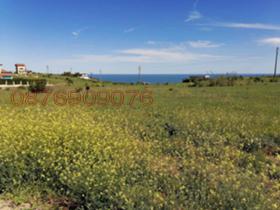 ����� ������� ������,�. �������, ������ ������