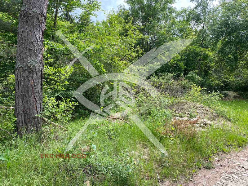 Προς πώληση  Οικόπεδο Σοφηια , μ-τ ιαζ. Ησκαρ , 1000 τ.μ | 97476352 - εικόνα [5]