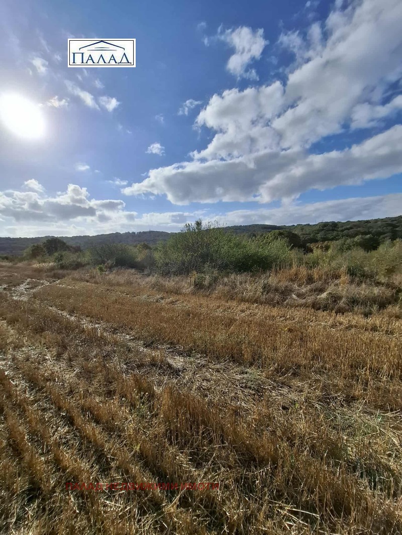À venda  Trama região Varna , Priselci , 9500 m² | 93168998 - imagem [9]