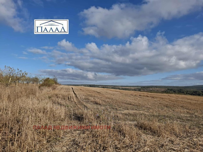 À venda  Trama região Varna , Priselci , 9500 m² | 93168998 - imagem [4]
