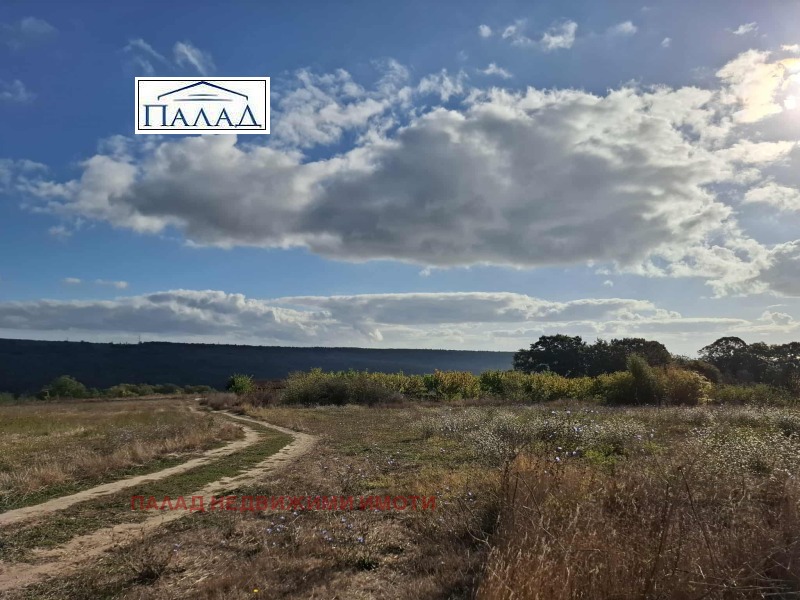 À venda  Trama região Varna , Priselci , 9500 m² | 93168998 - imagem [6]