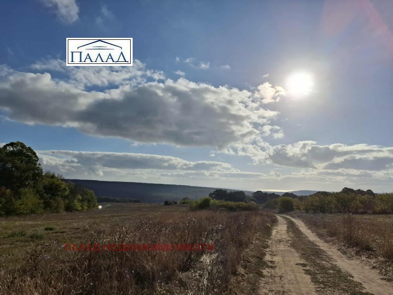 À venda  Trama região Varna , Priselci , 9500 m² | 93168998 - imagem [5]