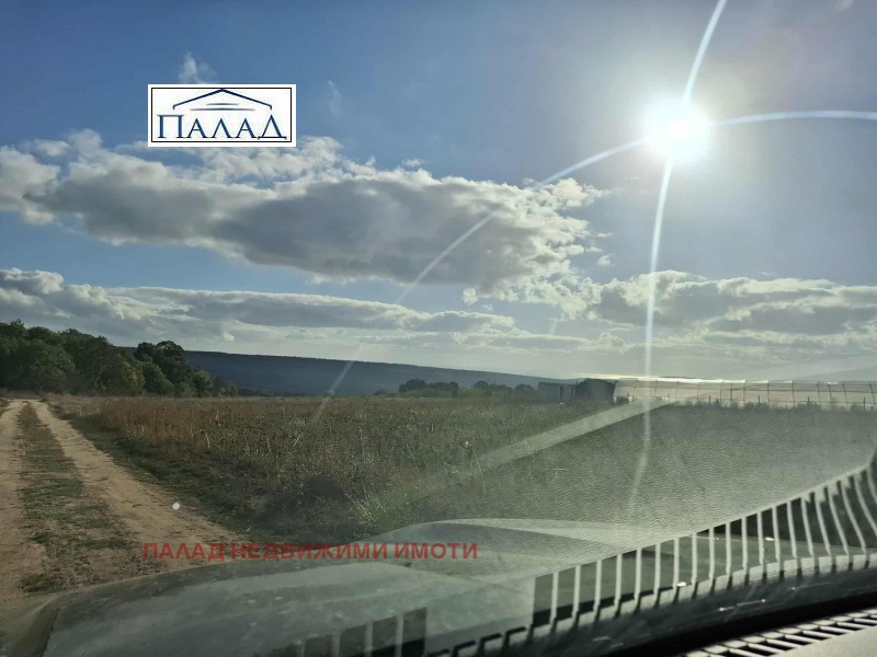 À venda  Trama região Varna , Priselci , 9500 m² | 93168998 - imagem [3]