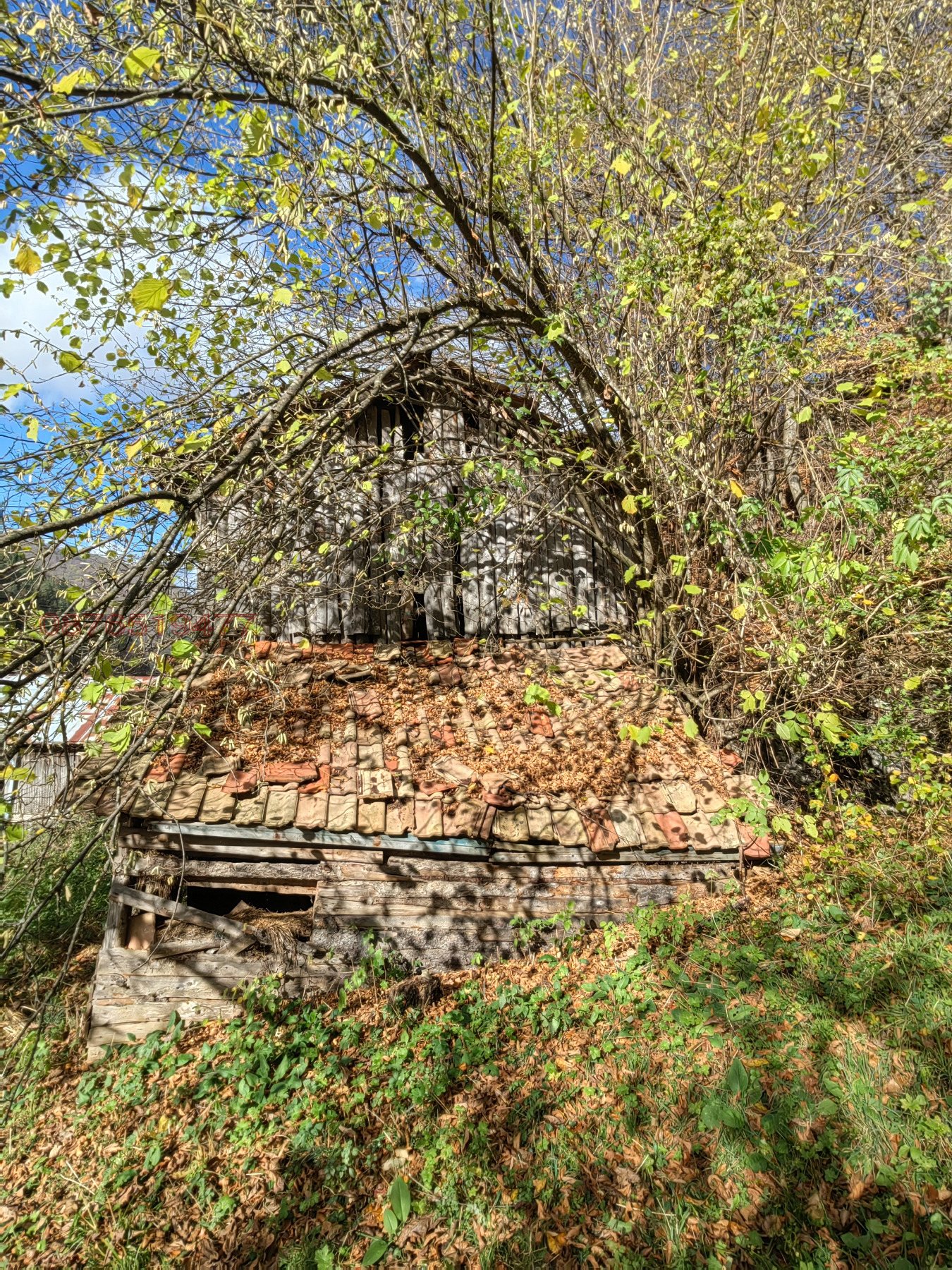Продава ВИЛА, с. Арда, област Смолян, снимка 15 - Вили - 52782421