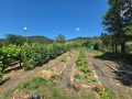 Продава КЪЩА, с. Горица, област Бургас, снимка 16