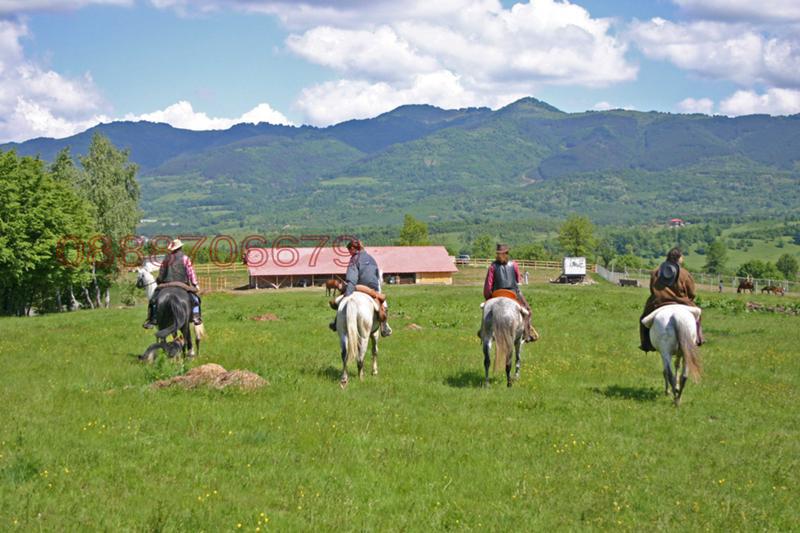 ������� ������ | Imot.bg � ����������� 2