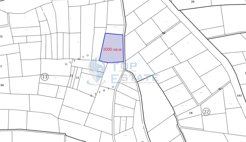 Zu verkaufen  Handlung region Weliko Tarnowo , Beljakowez , 3000 qm | 27024105 - Bild [2]