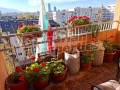 Продава 4-СТАЕН, град София, Дружба 2 • 344000 € / 672805.52 лв. • 99946247 4
