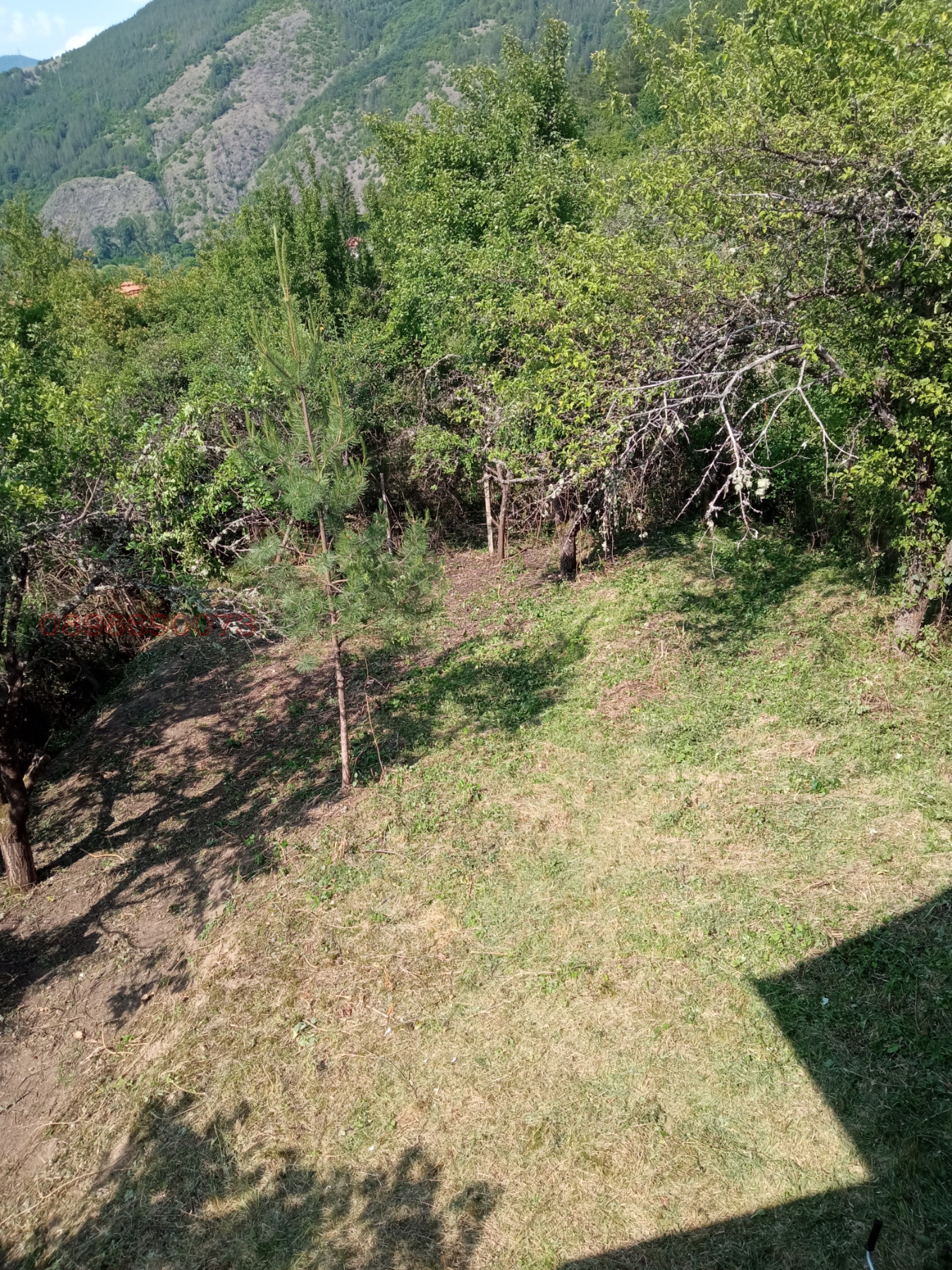 ������� ���� | Imot.bg � ����������� 12