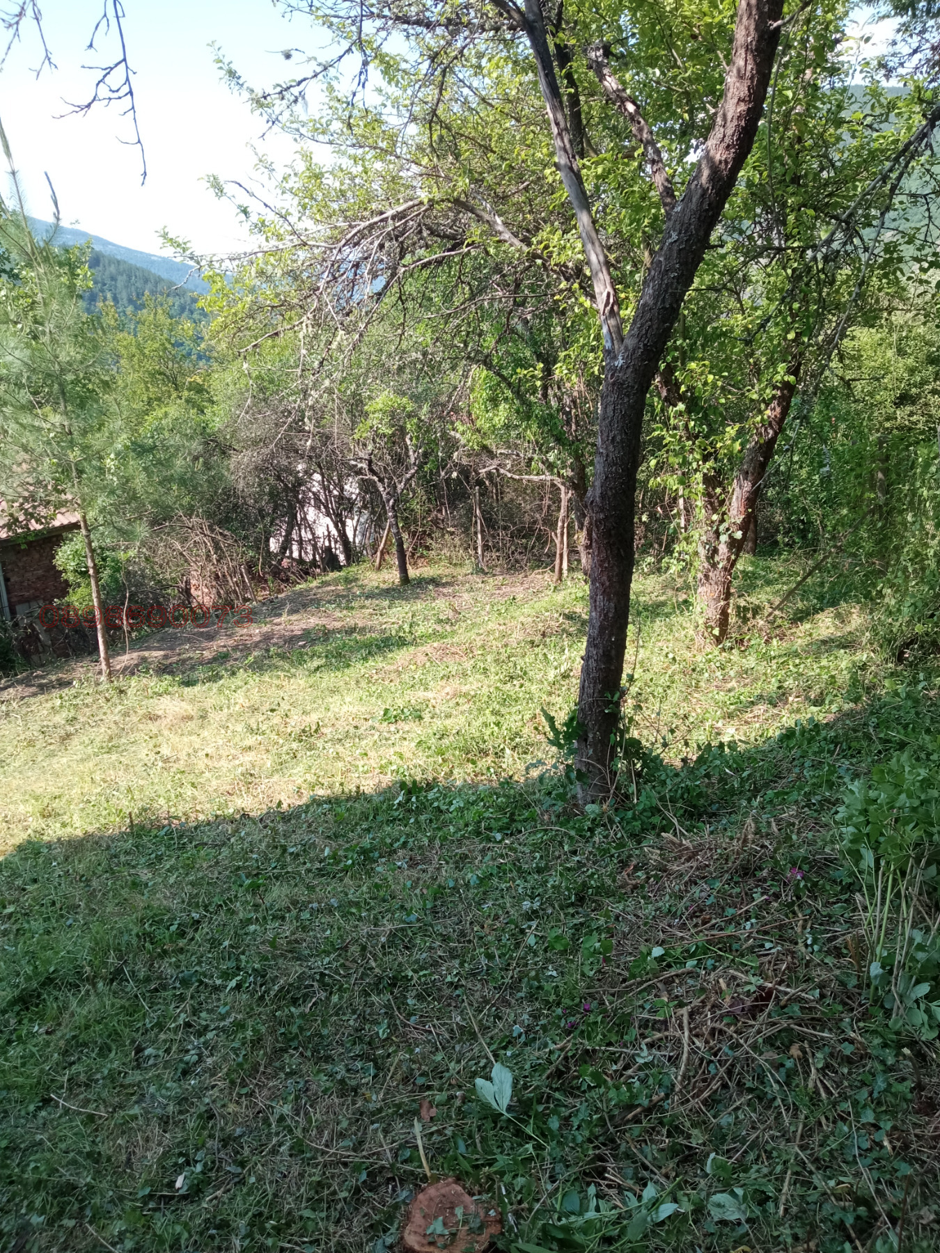 ������� ���� | Imot.bg � ����������� 15