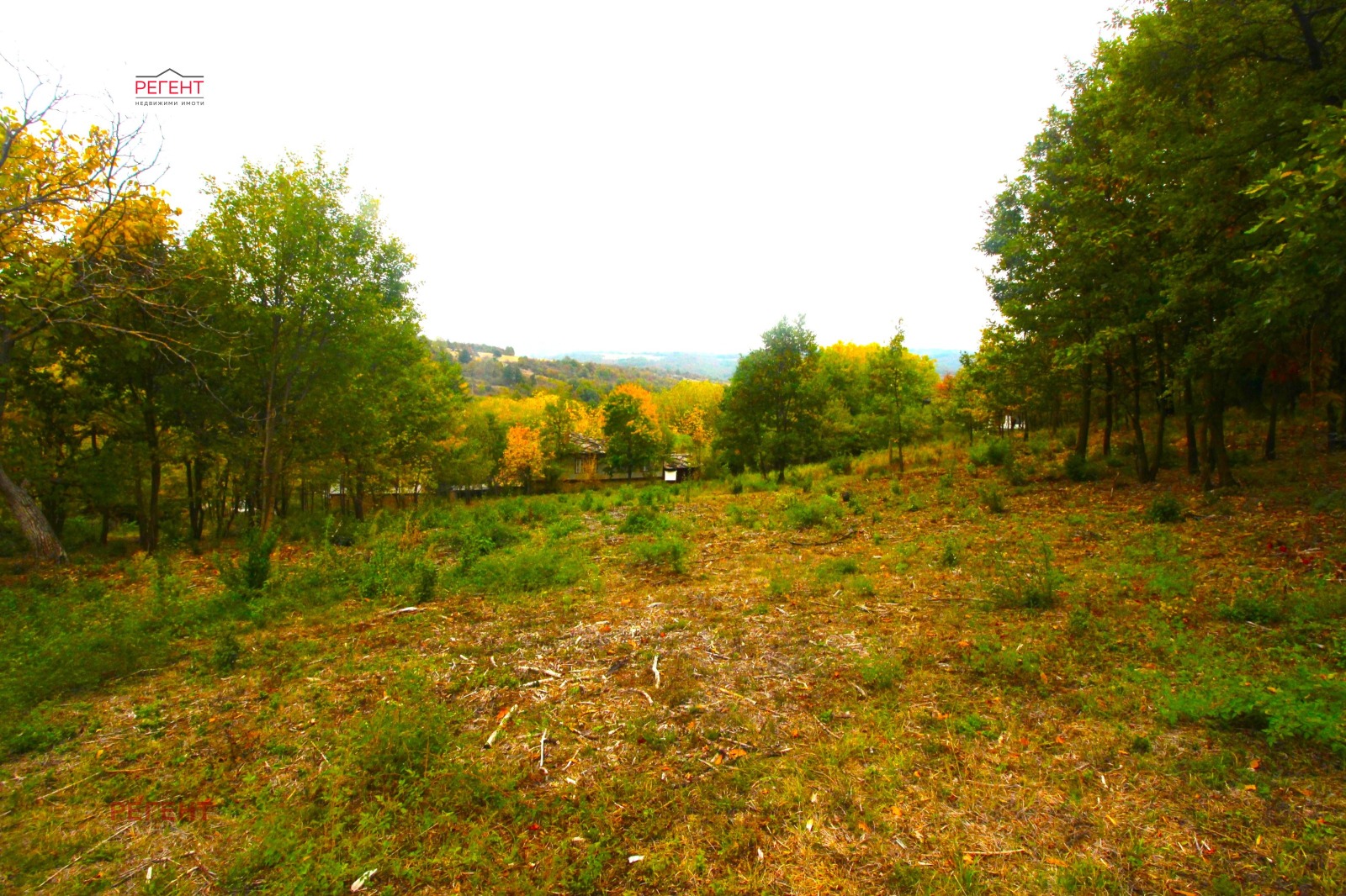 Продава ПАРЦЕЛ | Imot.bg — изображение 1