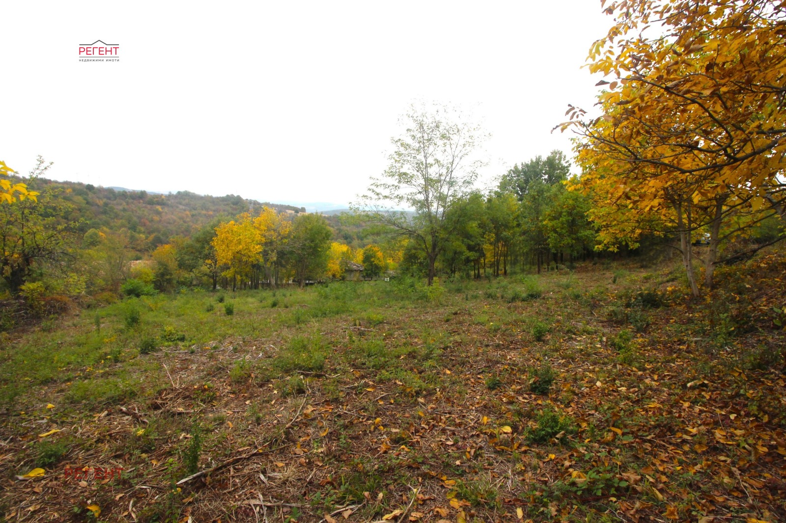 Продава ПАРЦЕЛ | Imot.bg — изображение 5