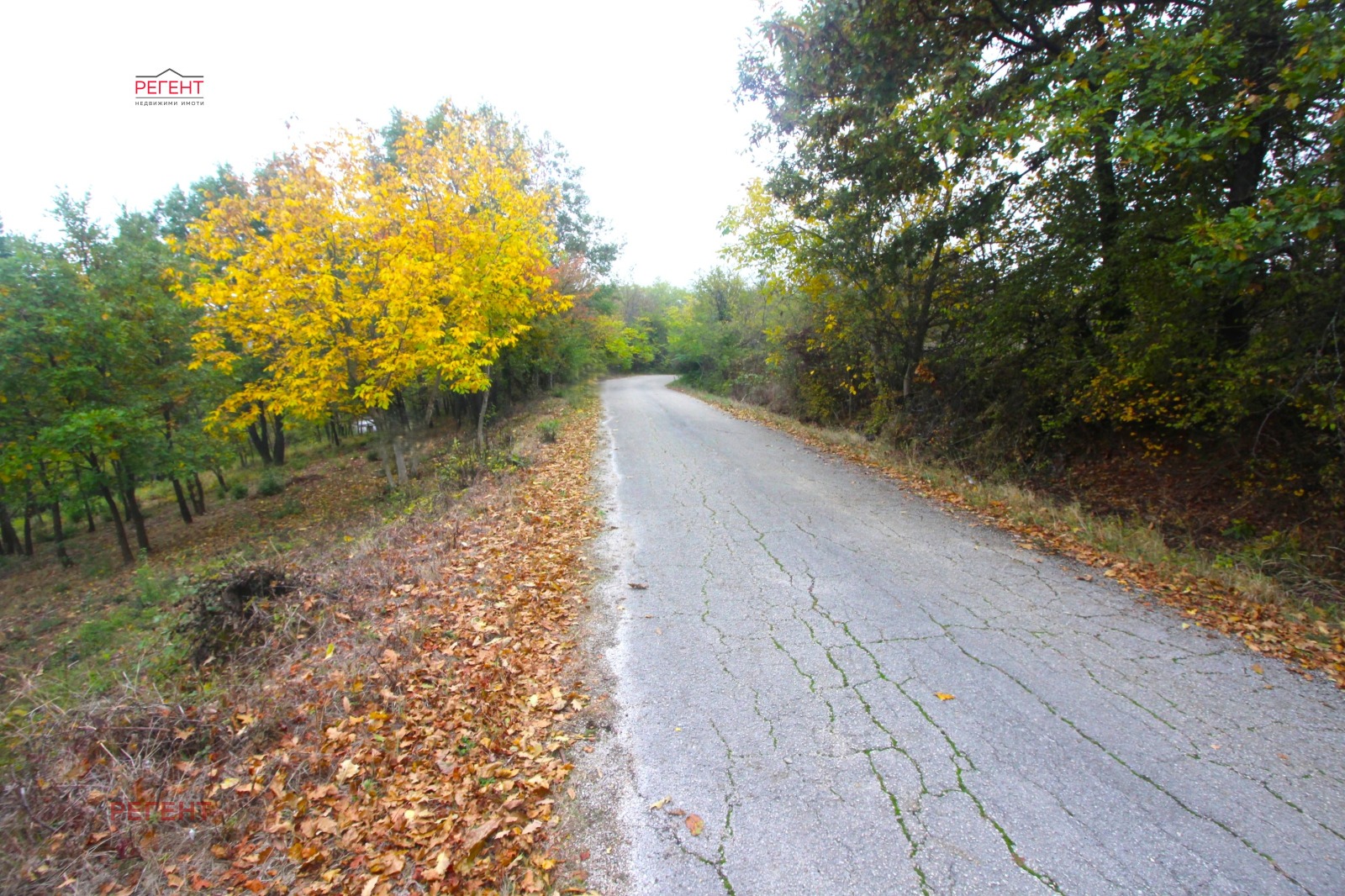 Продава ПАРЦЕЛ | Imot.bg — изображение 2