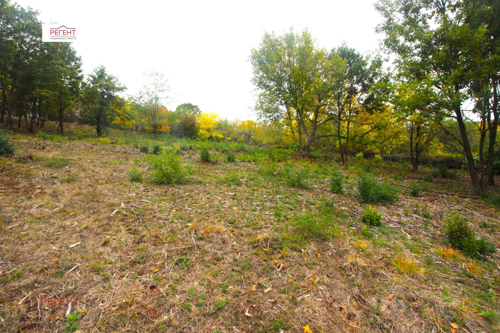 Продава ПАРЦЕЛ | Imot.bg — изображение 8