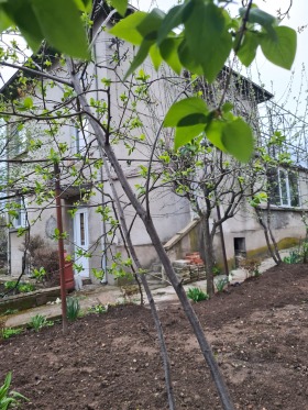 ������� ���� | Imot.bg � ����� ������ 3