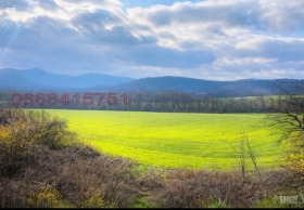 ����� ������� ���������� ����,�. ����� �������, ������ �����