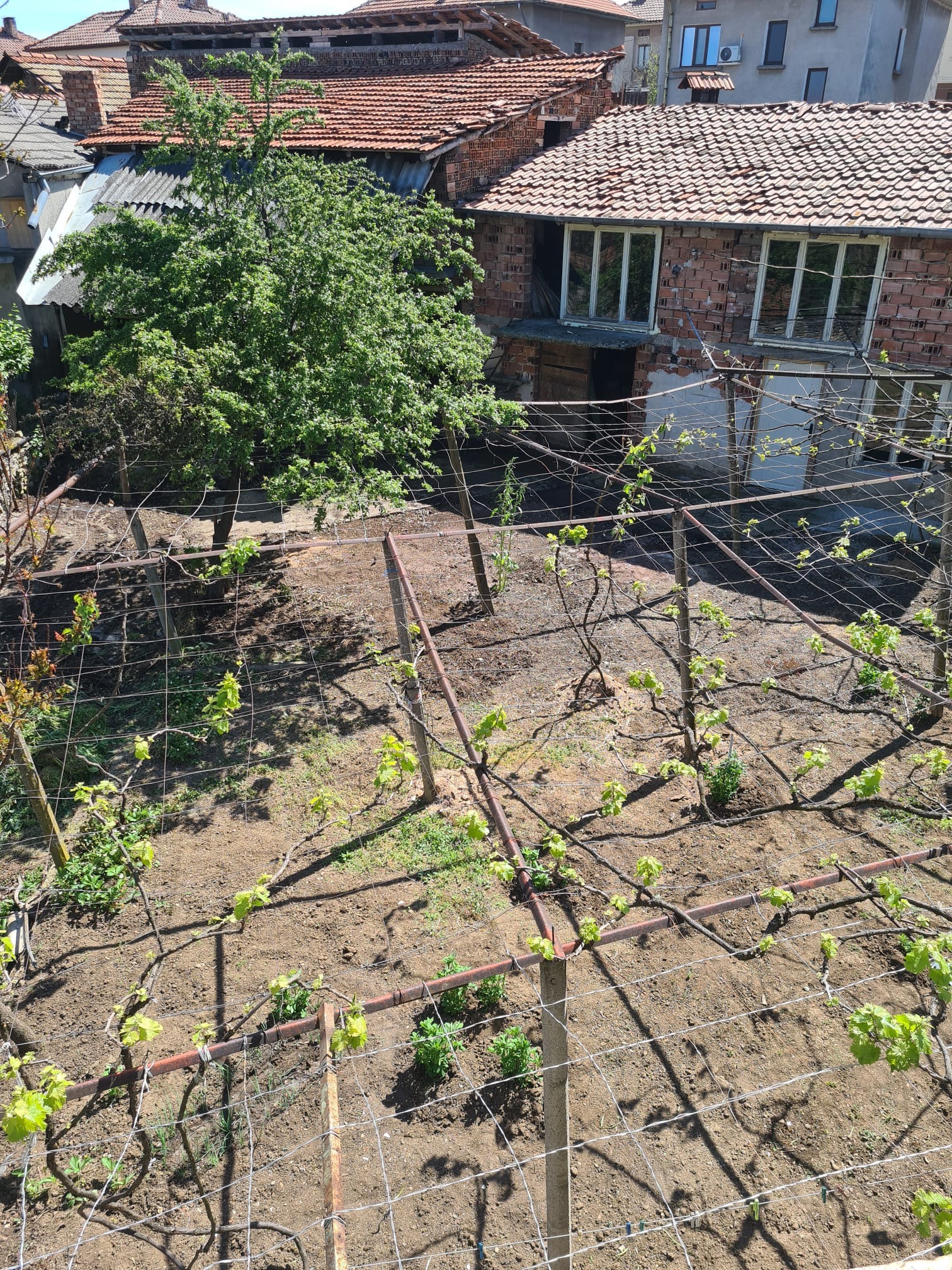 Продава КЪЩА, гр. Луковит, област Ловеч, снимка 10 - Къщи - 54241070