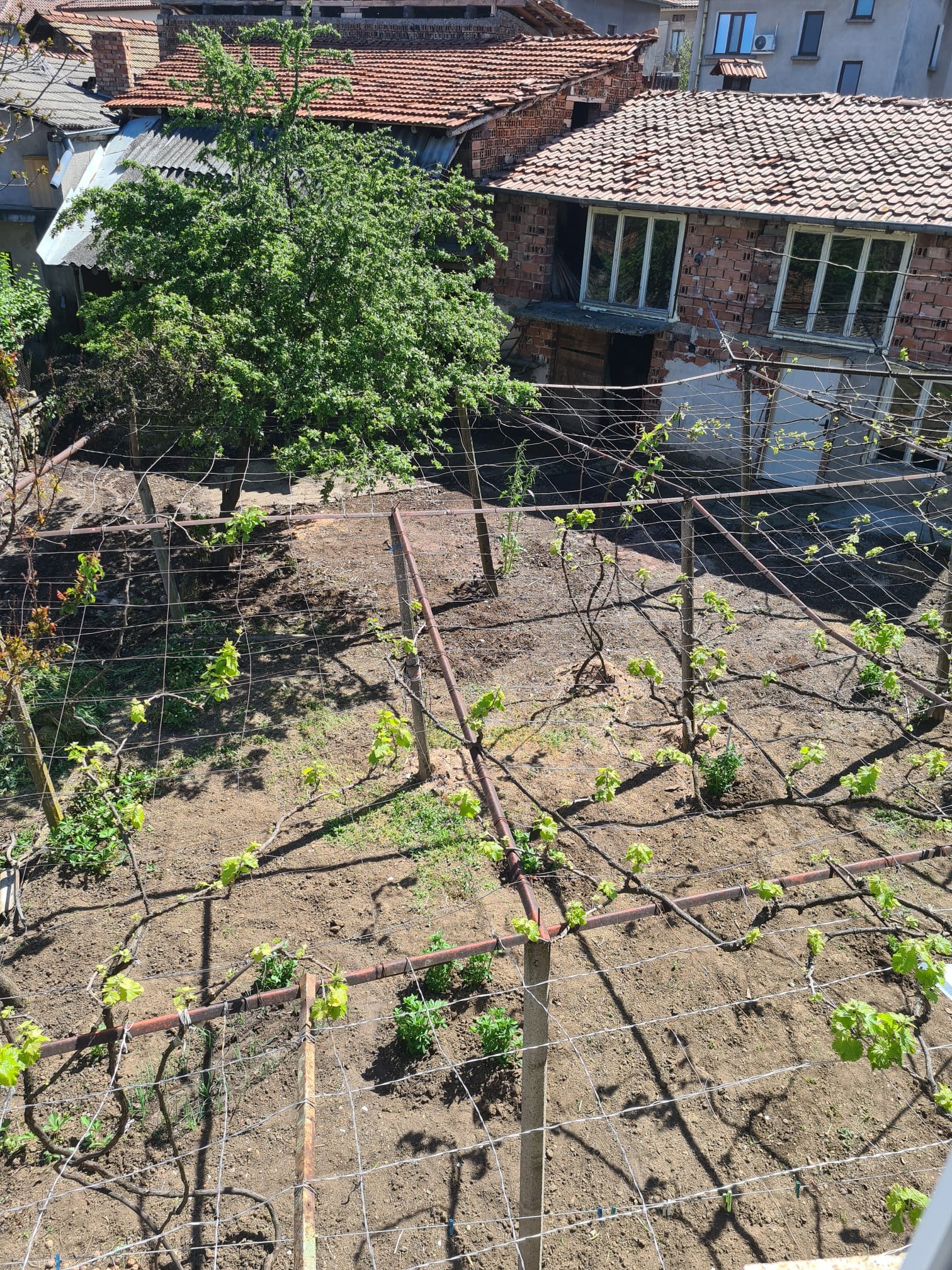 Продава КЪЩА, гр. Луковит, област Ловеч, снимка 9 - Къщи - 54241070