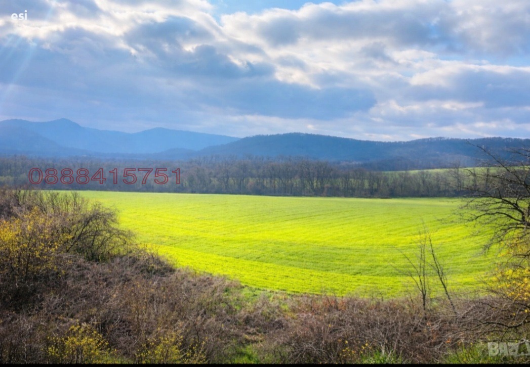 Продава ЗЕМЕДЕЛСКА ЗЕМЯ, с. Млада гвардия, област Варна