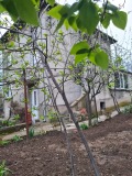 Продава  Къща област Ловеч , гр. Луковит , 144 кв.м | 75566476 - изображение [3]