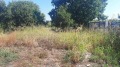 Продава ПАРЦЕЛ, град Пловдив, Беломорски • 66000 € • 95670655 — Holmes.bg