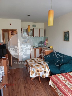 Studio Maracha, Plovdiv