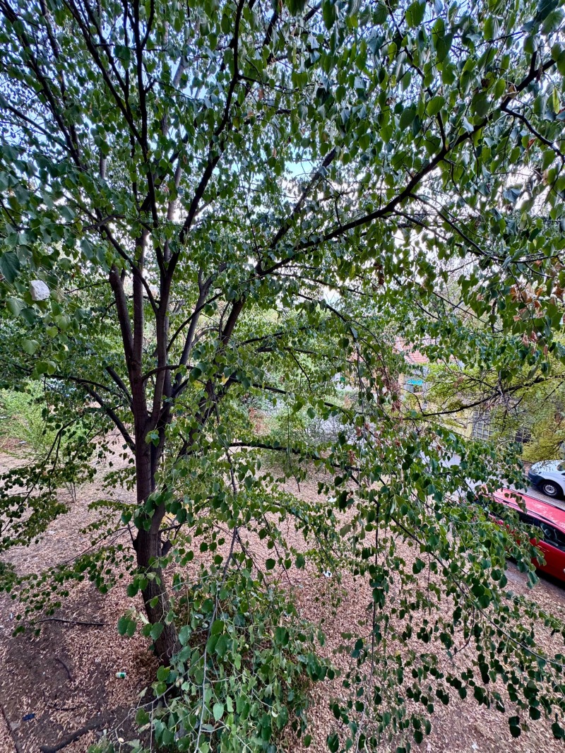À venda  1 quarto Sofia , Poduiane , 67 m² | 91728647 - imagem [10]