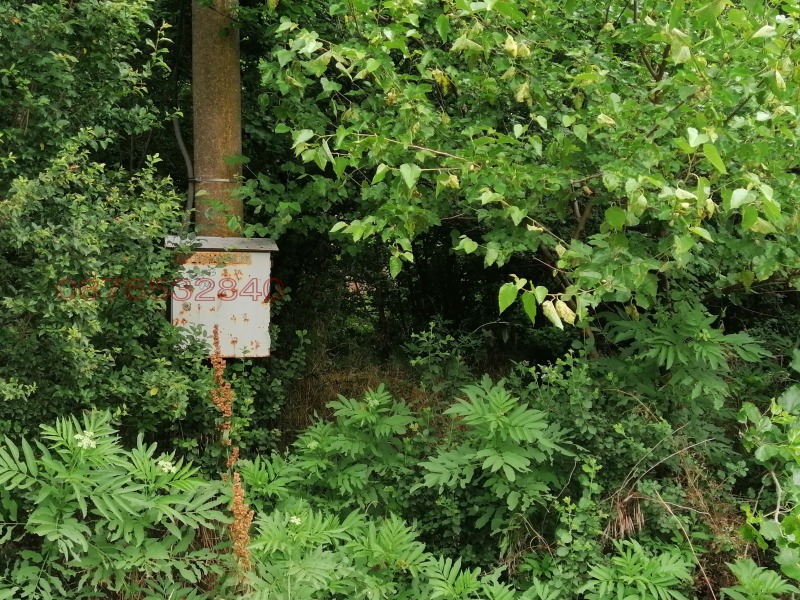 Продава ПАРЦЕЛ, гр. Койнаре, област Плевен, снимка 10 - Парцели - 52784792