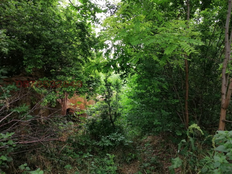 Продава ПАРЦЕЛ, гр. Койнаре, област Плевен, снимка 5 - Парцели - 52784792