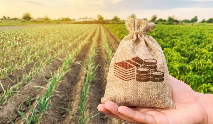 Продается  Земля область Добрич , Видно , 32 дка | 90270319