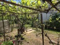 Продава КЪЩА, област Велико Търново, с. Миндя • 100000 лв. • 48584486 — Holmes.bg