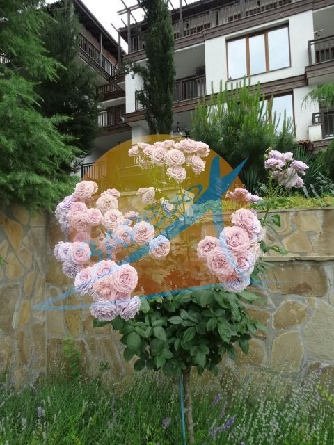 Продава 3-СТАЕН, гр. Созопол, област Бургас, снимка 16 - Апартаменти - 54848105