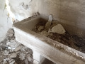 Продава ПАРЦЕЛ, с. Избул, област Шумен, снимка 2
