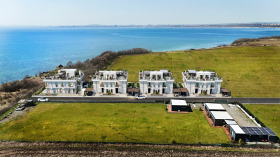 ������ ������� ����