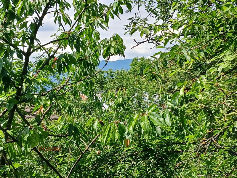 Προς πώληση  σπίτι περιοχή Γκάμπροβο , Σεννηκ , 180 τ.μ | 80699622 - εικόνα [4]