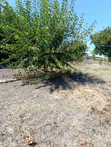 Продава КЪЩА, с. Дебелт, област Бургас, снимка 9 - Къщи - 55828263