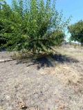 Продава КЪЩА, с. Дебелт, област Бургас, снимка 9