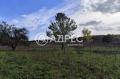 Продава ПРОМ. ПОМЕЩЕНИЕ, с. Водица, област Варна, снимка 4