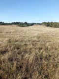 Продава ПАРЦЕЛ, с. Алино, област София област, снимка 2