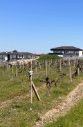 Продава ПАРЦЕЛ, с. Марково, област Пловдив, снимка 2