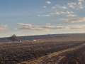 Продава  Парцел област София , с. Пролеша , 800 кв.м | 18590295 - изображение [3]