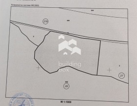 ����� ������� ������,�. �����, ������ �����