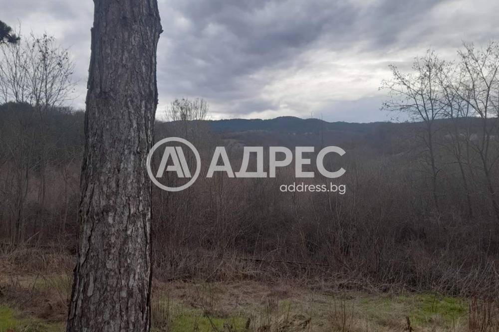 Продава КЪЩА, с. Цацаровци, област София област, снимка 5 - Къщи - 55923349