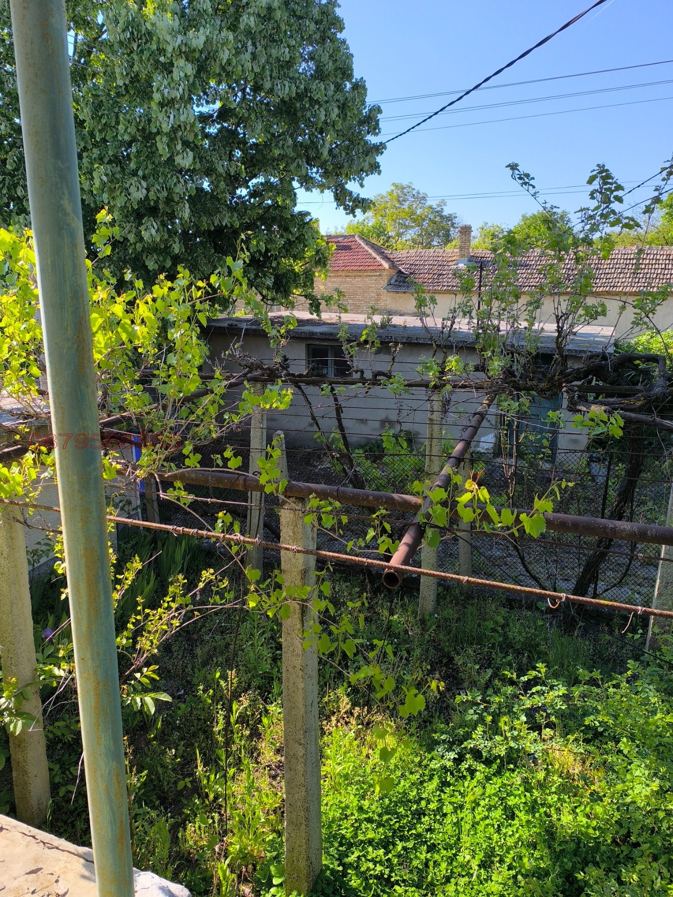 ������� ���� | Imot.bg � ����������� 8